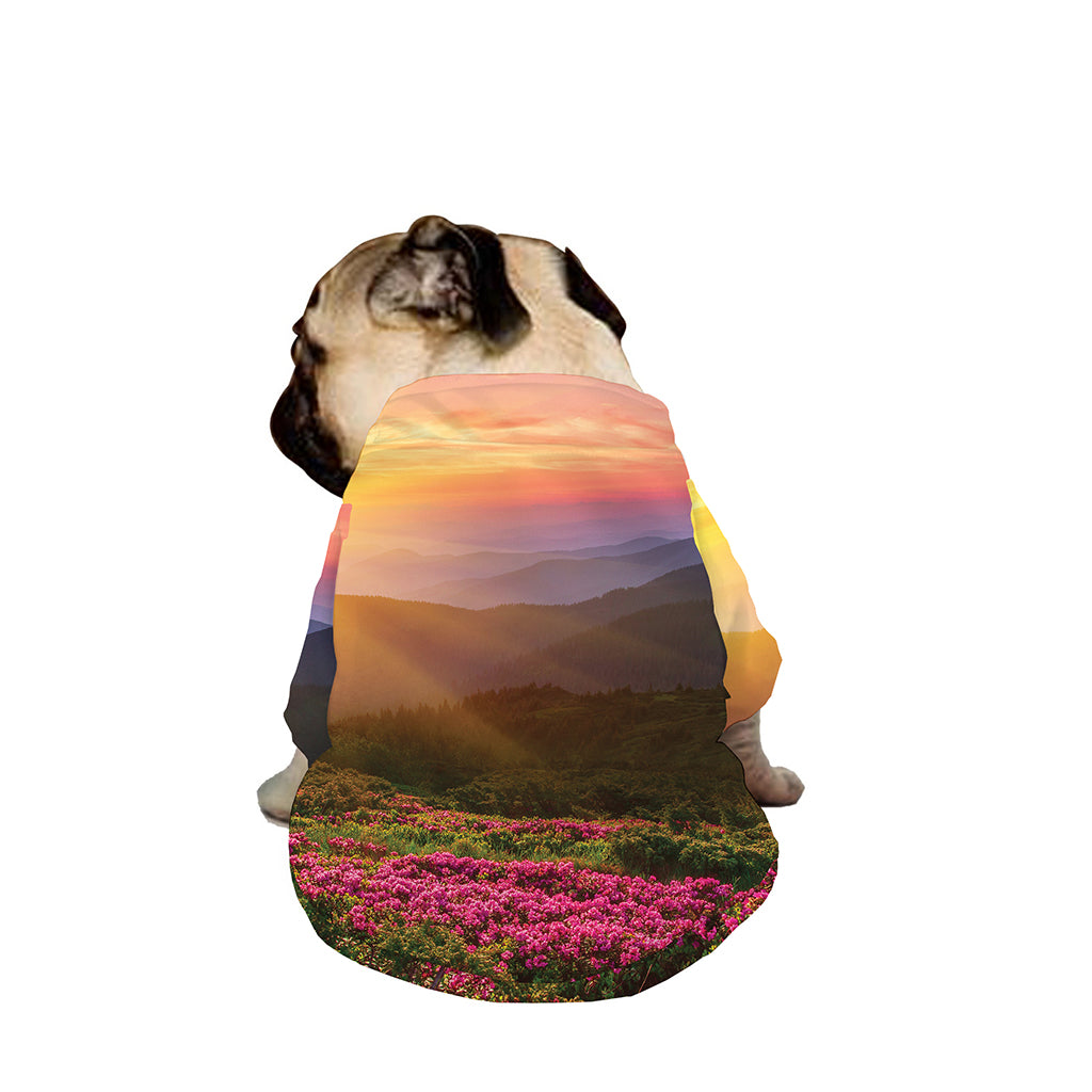 Sunrise Mountain Print Dog Zip Up Jacket