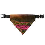 Sunrise Mountain Print Over The Collar Dog Bandana