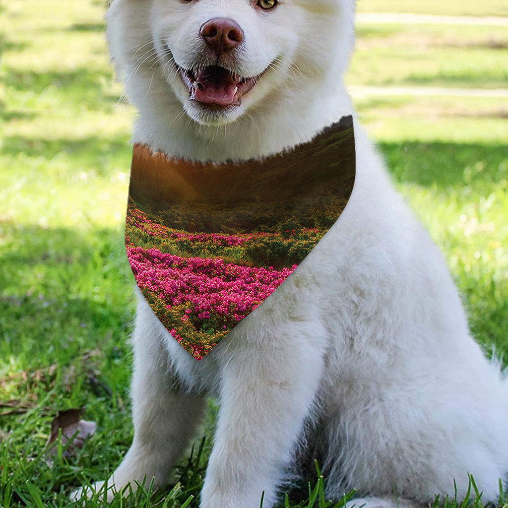Sunrise Mountain Print Over The Collar Dog Bandana