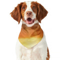 Sunrise Road Print Dog Bandana
