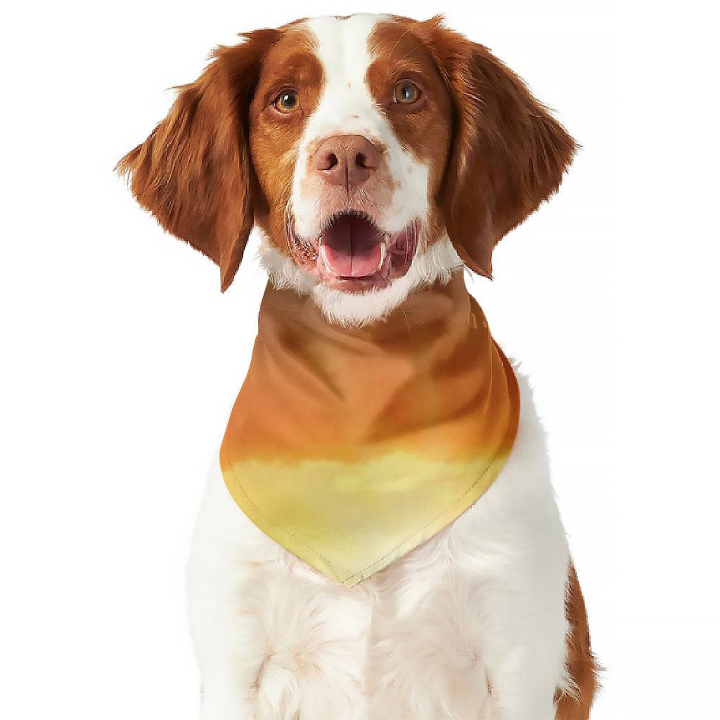 Sunrise Road Print Dog Bandana