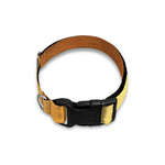 Sunrise Road Print Dog Collar