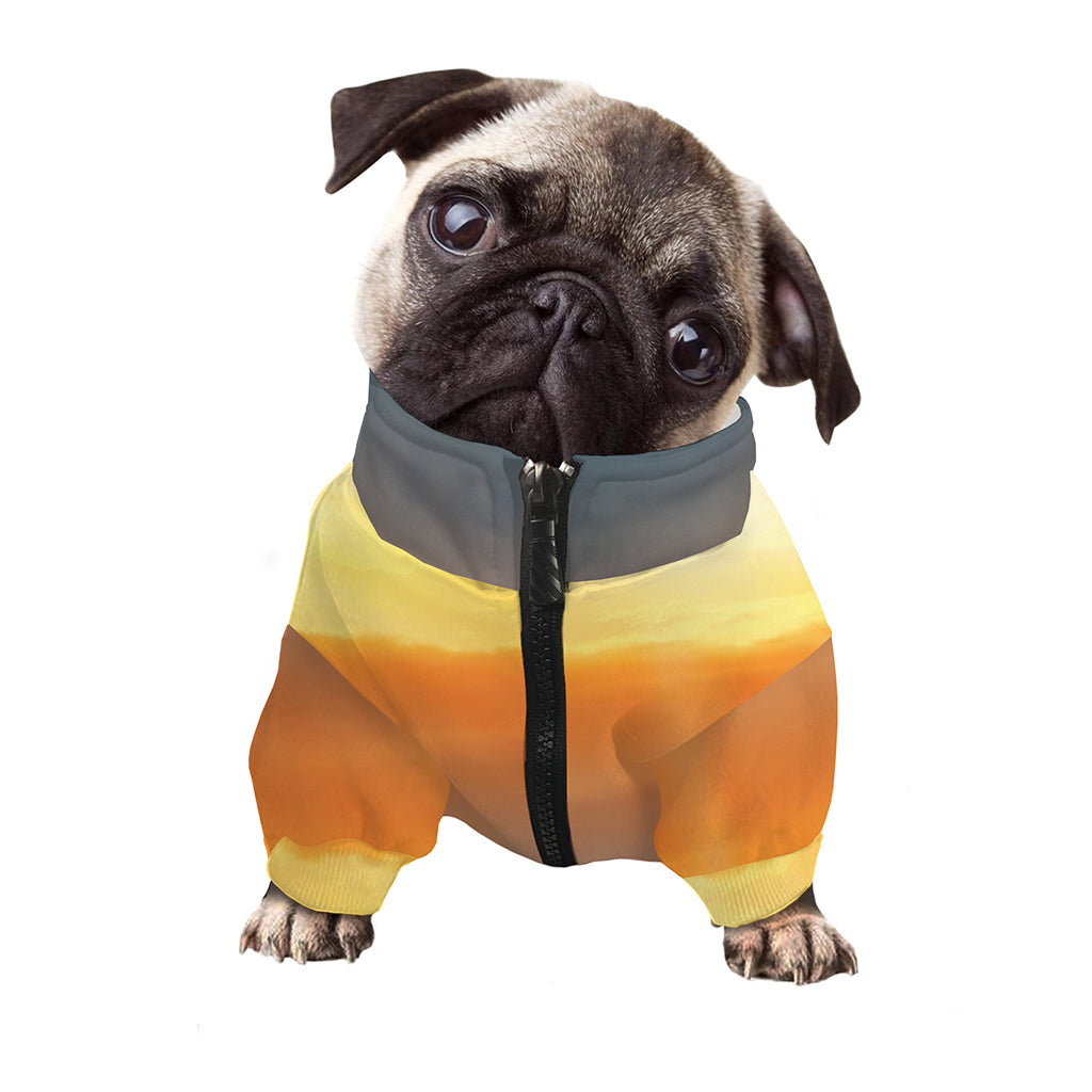 Sunrise Road Print Dog Zip Up Jacket