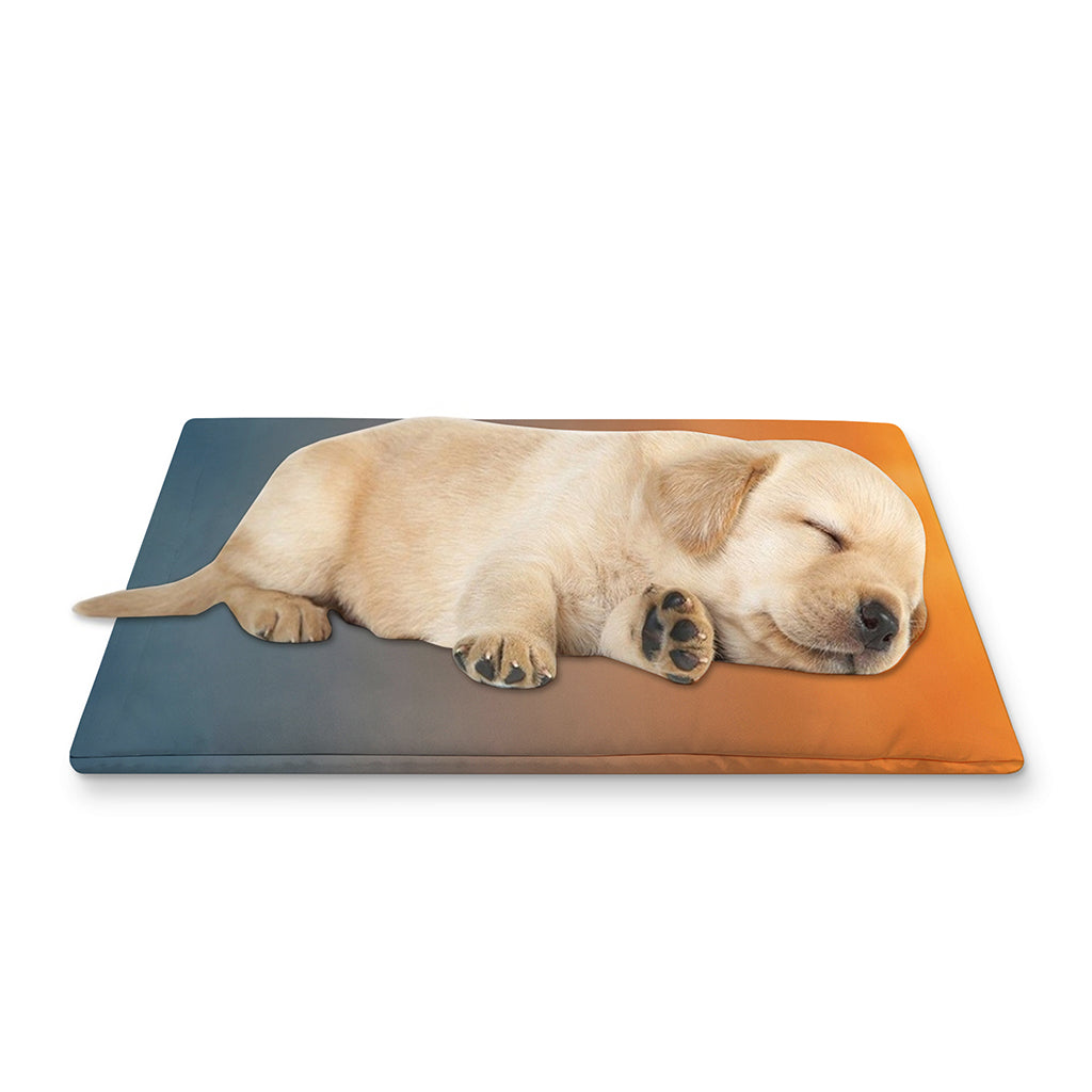 Sunrise Road Print Pet Cooling Mat Cover