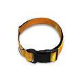 Sunrise Sky Print Dog Collar