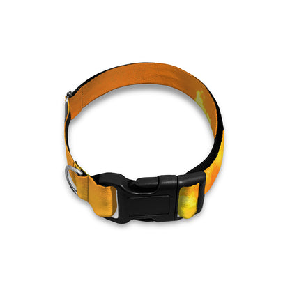 Sunrise Sky Print Dog Collar