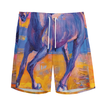Sunset Horse Painting Print Men's Sports Shorts