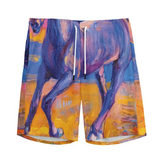 Sunset Horse Painting Print Men's Sports Shorts