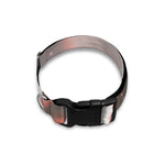 Sunset Japanese Samurai Print Dog Collar