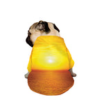 Sunset Over Sea Print Dog Zip Up Jacket