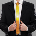 Sunset Over Sea Print Necktie