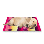 Sunset Palm Tree Pattern Print Pet Cooling Mat Cover