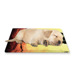 Sunset Samurai Warrior Print Pet Cooling Mat Cover