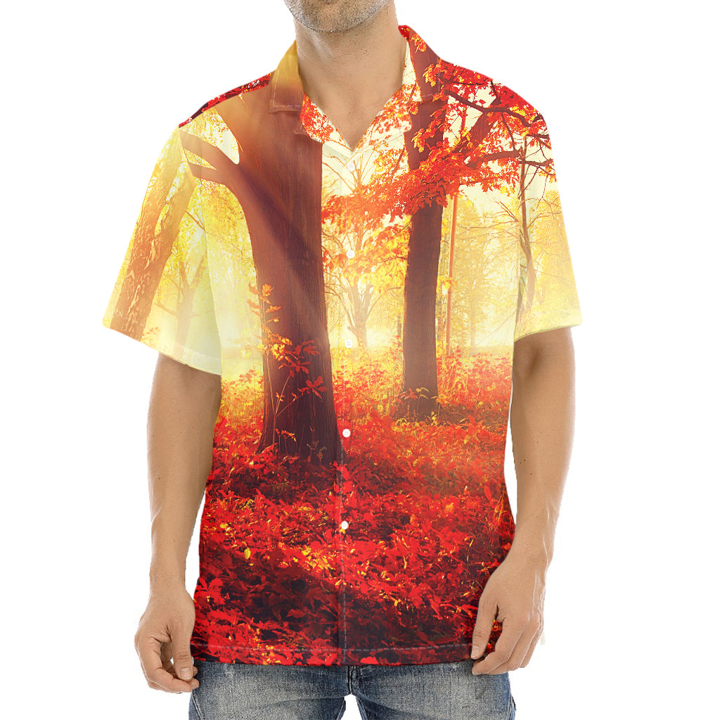 Sunshine Autumn Tree Print Aloha Shirt