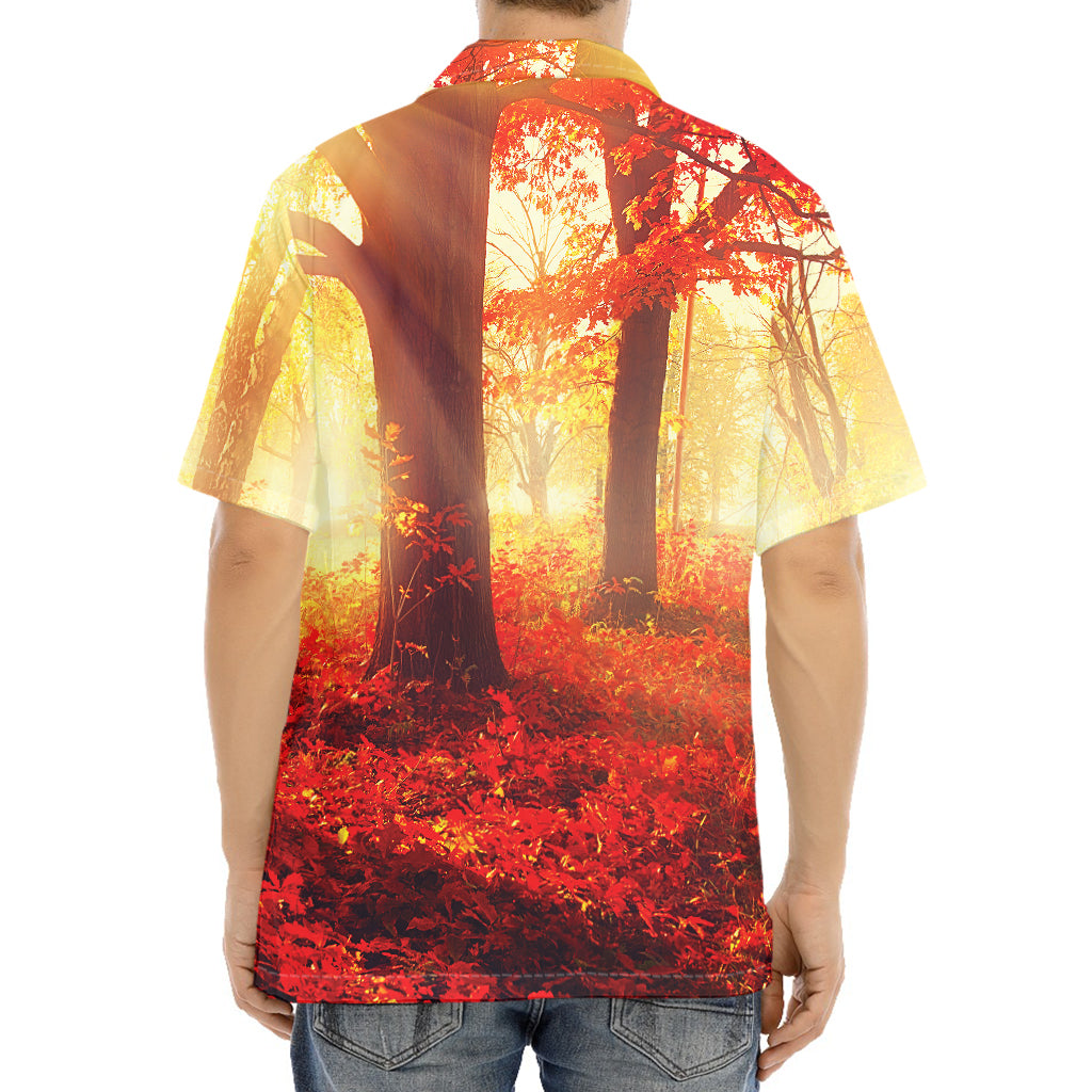 Sunshine Autumn Tree Print Aloha Shirt