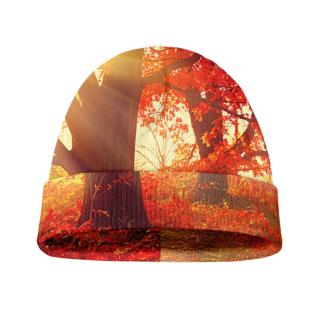 Sunshine Autumn Tree Print Beanie