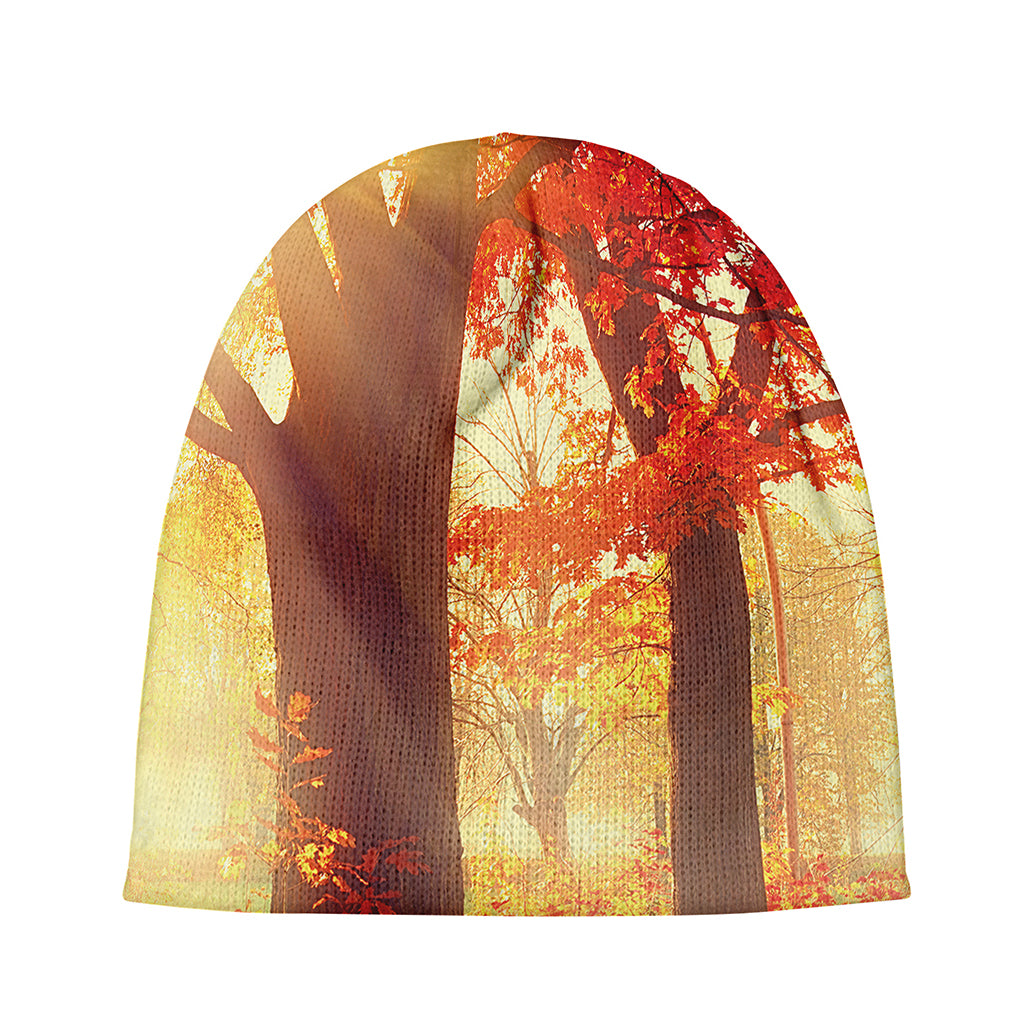 Sunshine Autumn Tree Print Beanie