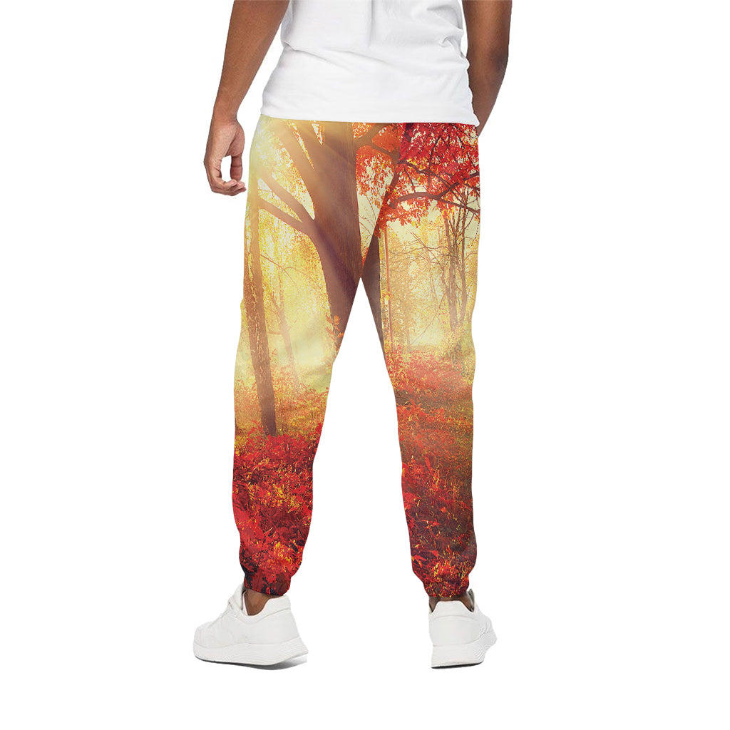 Sunshine Autumn Tree Print Cotton Pants