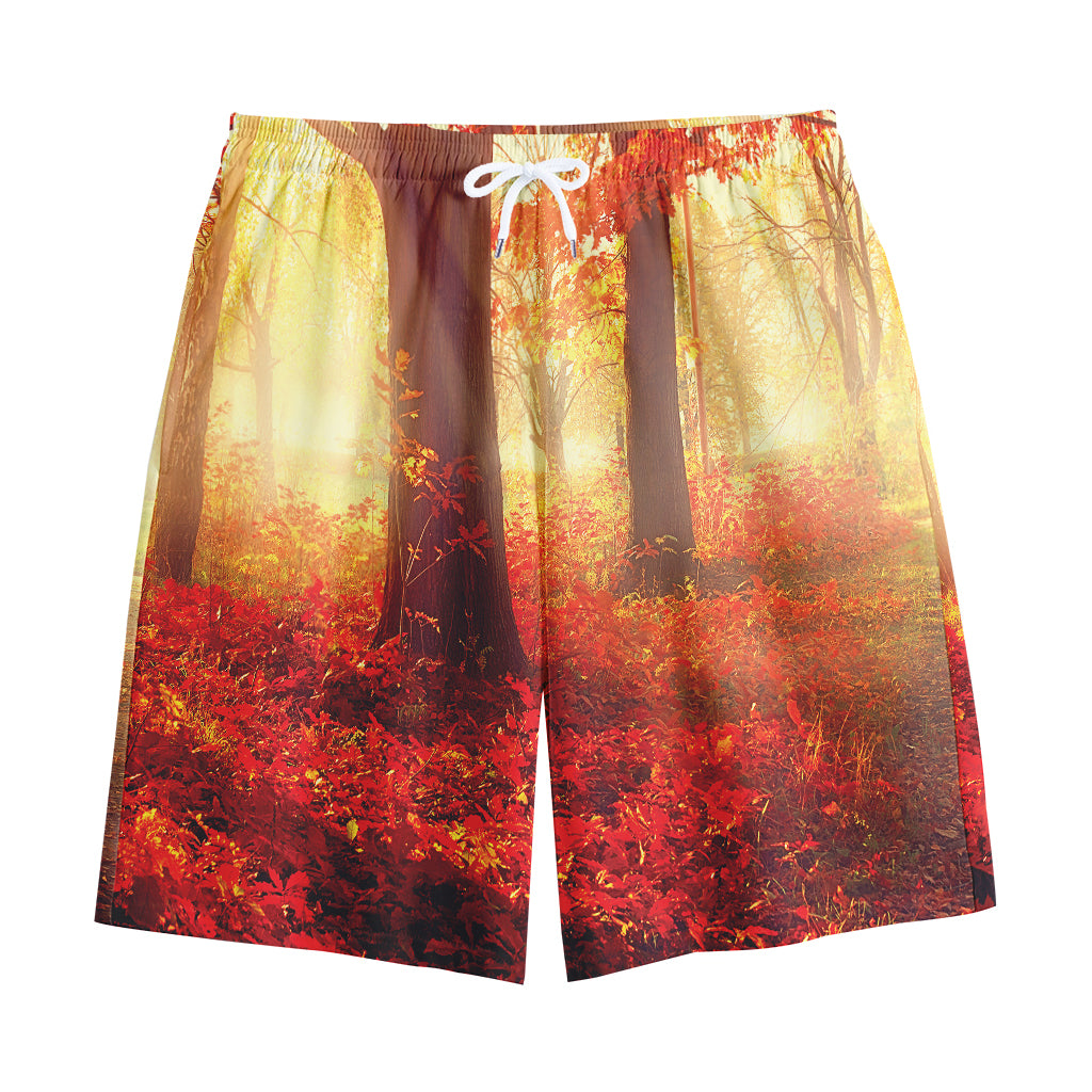 Sunshine Autumn Tree Print Cotton Shorts