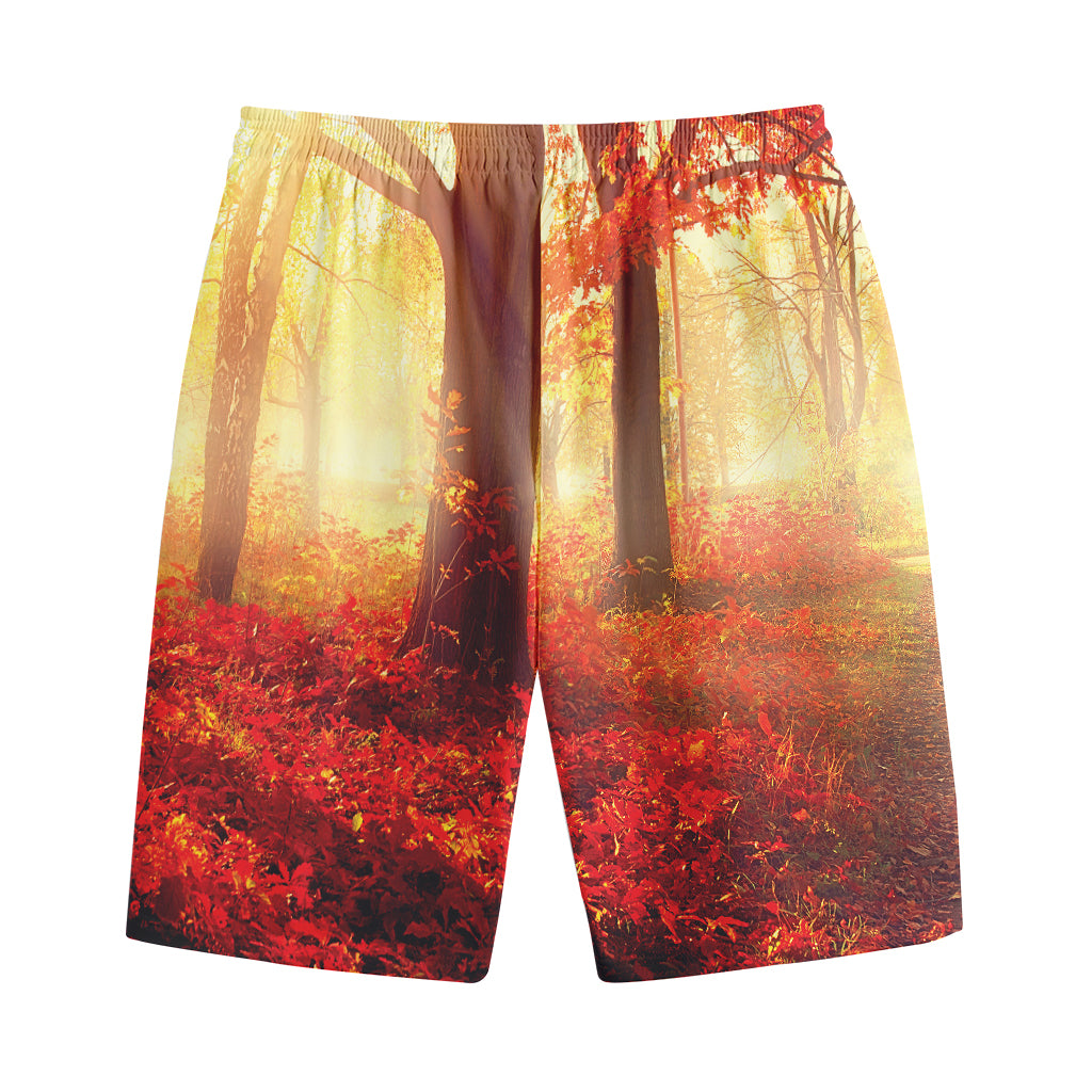 Sunshine Autumn Tree Print Cotton Shorts