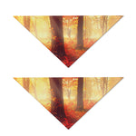 Sunshine Autumn Tree Print Dog Bandana