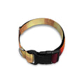 Sunshine Autumn Tree Print Dog Collar