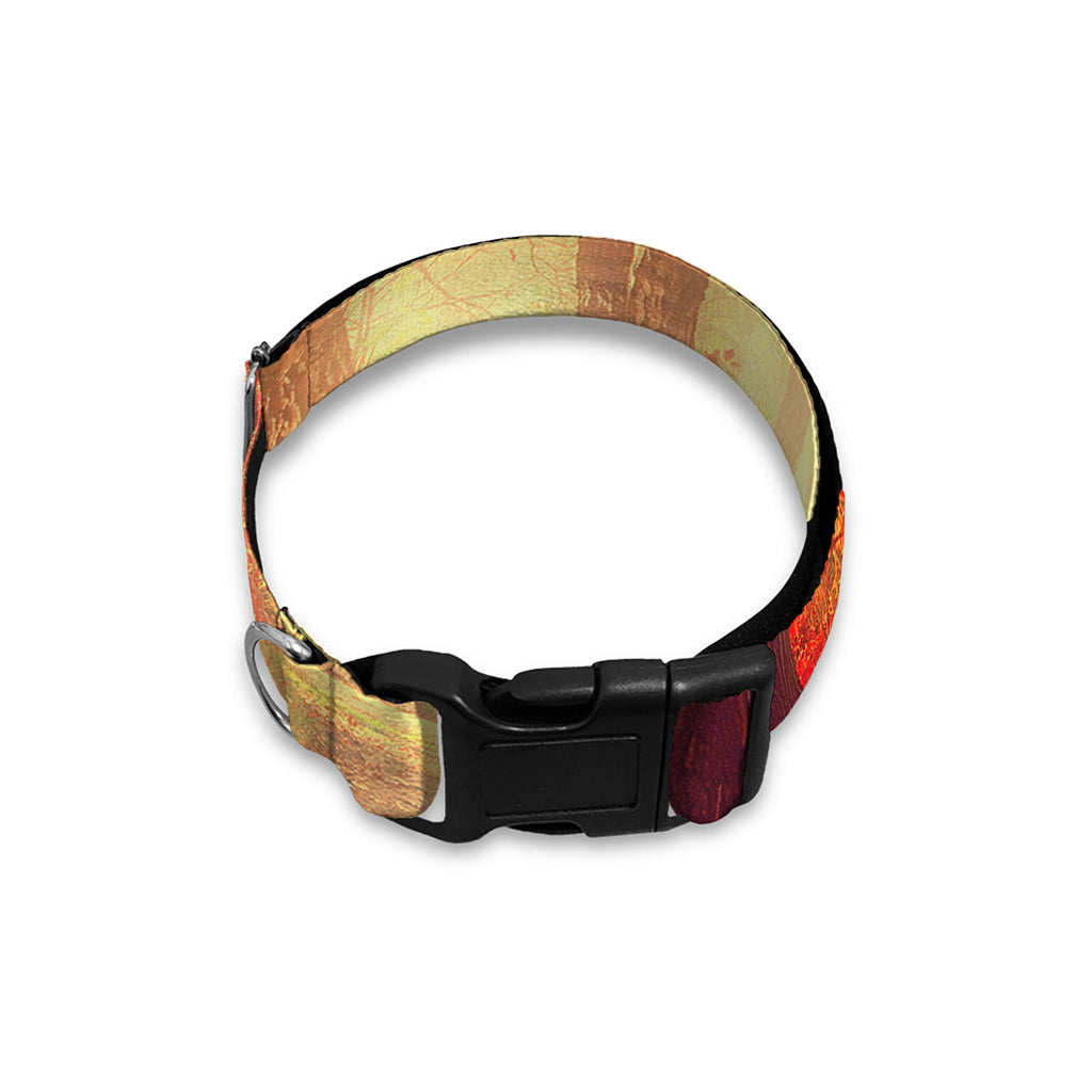 Sunshine Autumn Tree Print Dog Collar