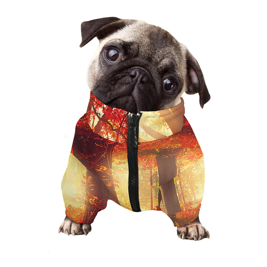 Sunshine Autumn Tree Print Dog Zip Up Jacket