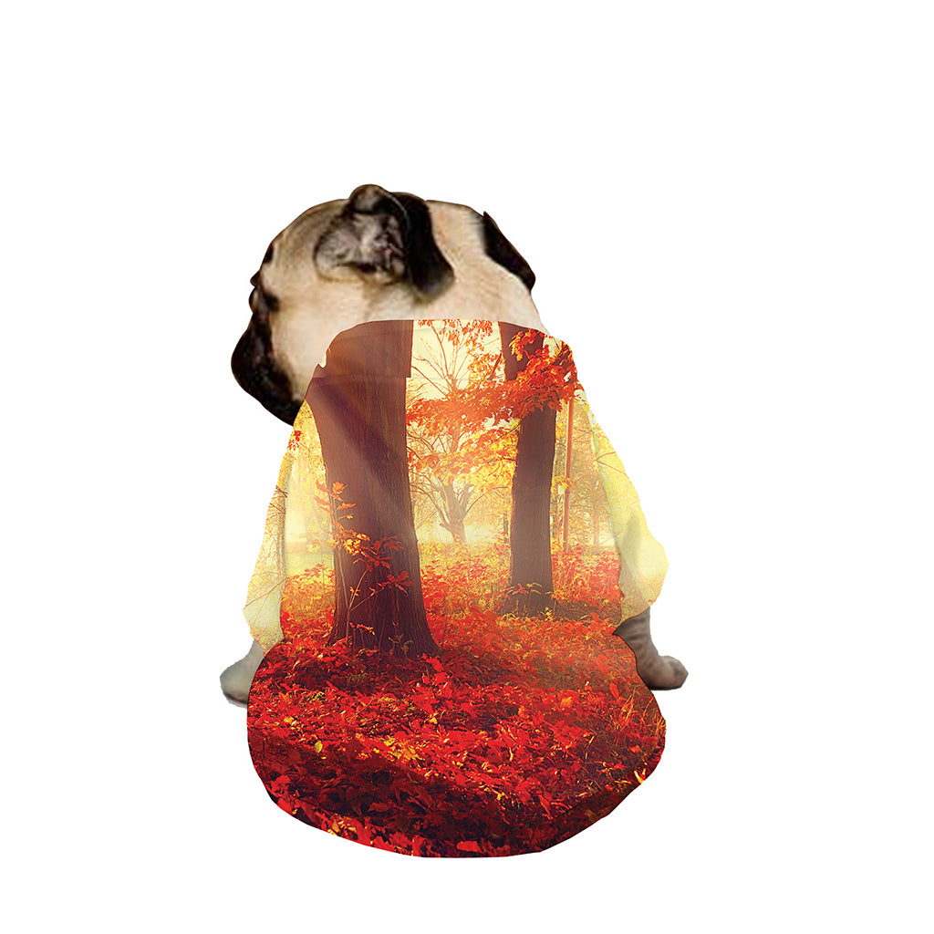 Sunshine Autumn Tree Print Dog Zip Up Jacket