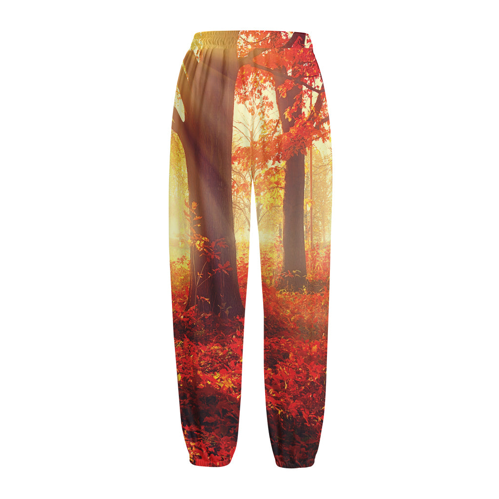 Sunshine Autumn Tree Print Fleece Lined Knit Pants