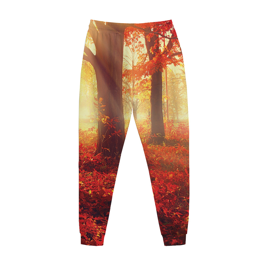 Sunshine Autumn Tree Print Jogger Pants