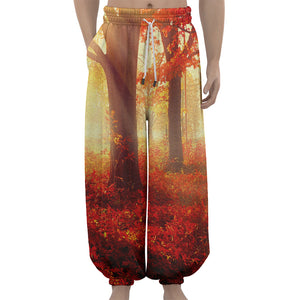 Sunshine Autumn Tree Print Lantern Pants