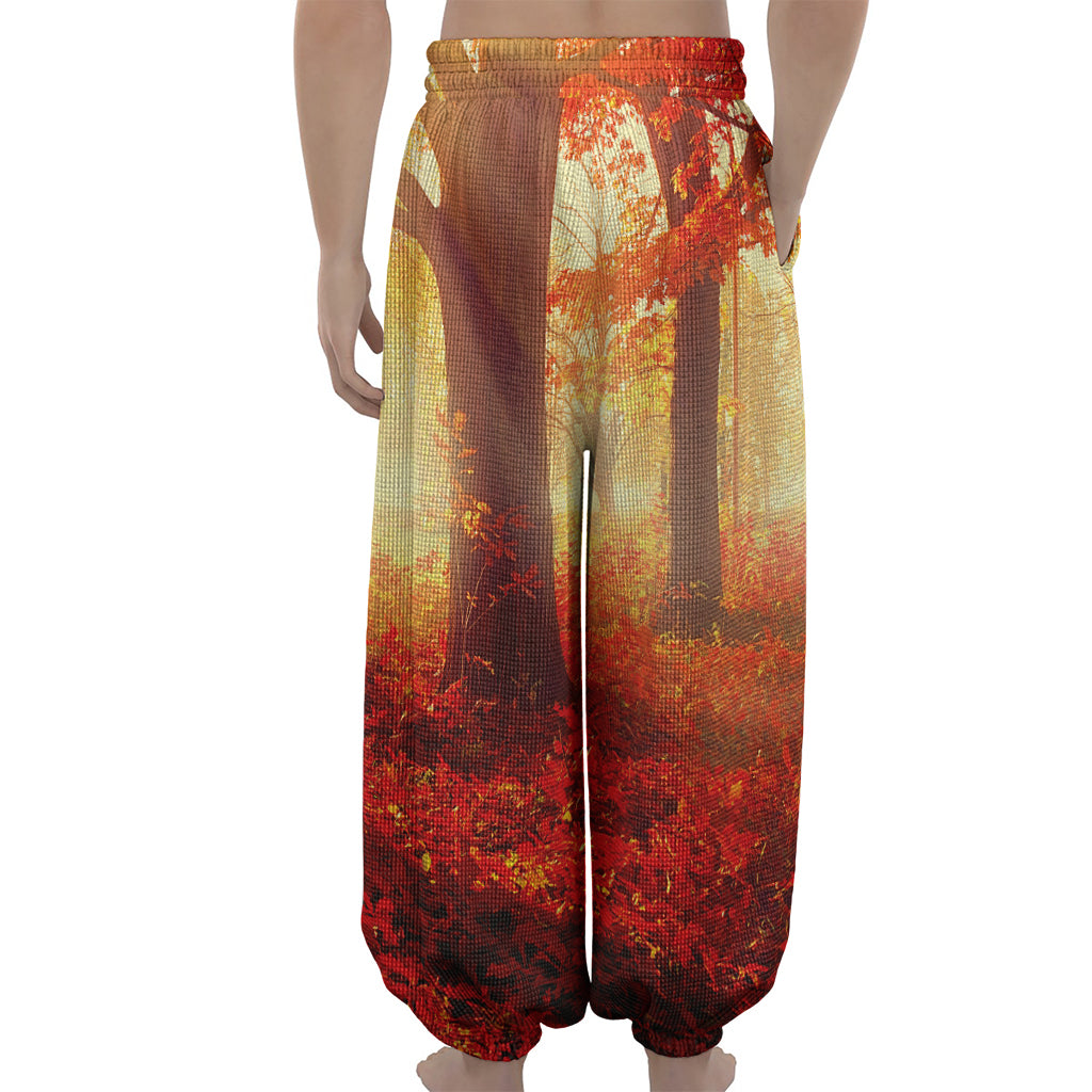 Sunshine Autumn Tree Print Lantern Pants