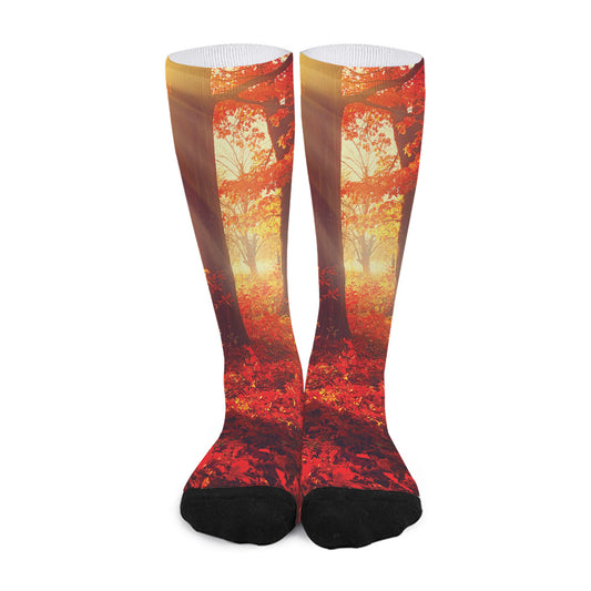 Sunshine Autumn Tree Print Long Socks