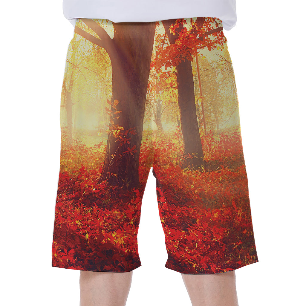 Sunshine Autumn Tree Print Men's Beach Shorts