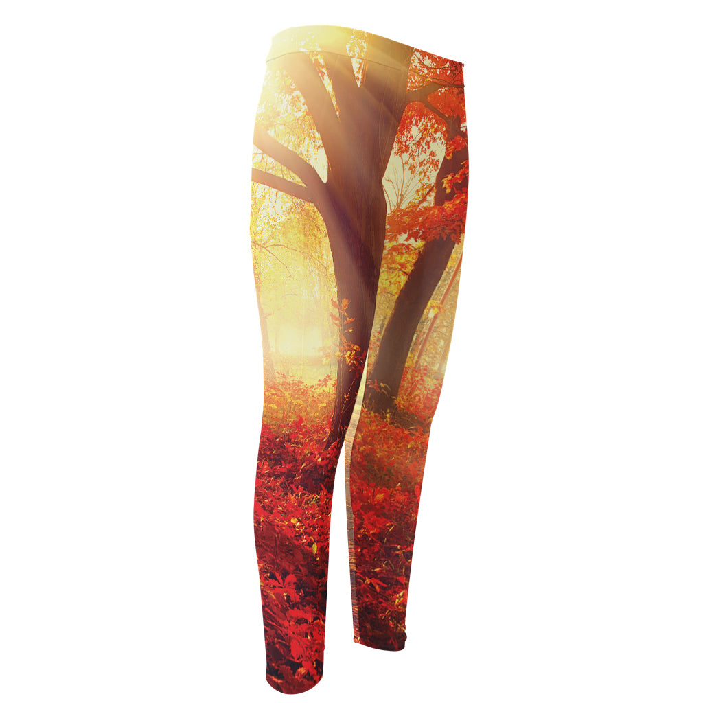 Sunshine Autumn Tree Print Men's Compression Pants