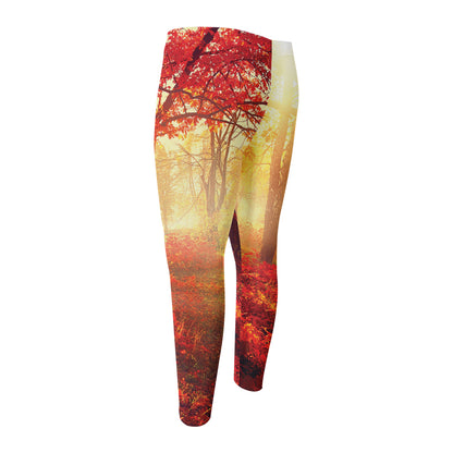 Sunshine Autumn Tree Print Men's Compression Pants