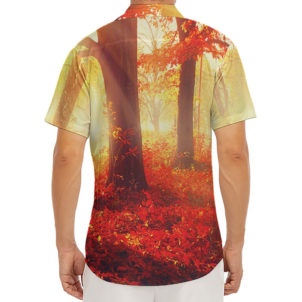 Sunshine Autumn Tree Print Men's Deep V-Neck Shirt