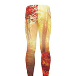 Sunshine Autumn Tree Print Men's leggings