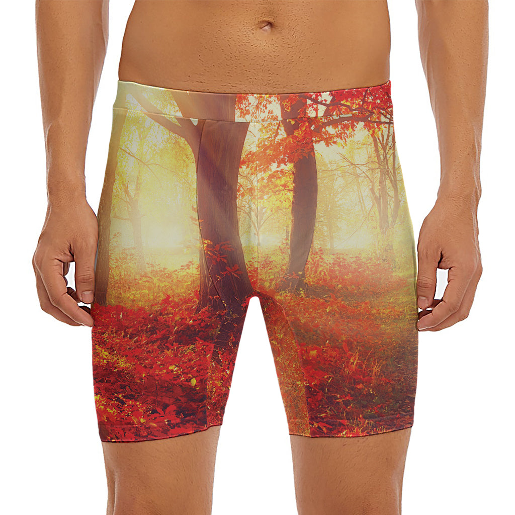 Sunshine Autumn Tree Print Men's Long Boxer Briefs