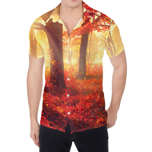 Sunshine Autumn Tree Print Men's Shirt