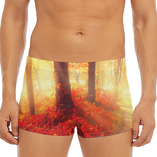 Sunshine Autumn Tree Print Men's Short Boxer Briefs