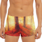 Sunshine Autumn Tree Print Men's Short Boxer Briefs