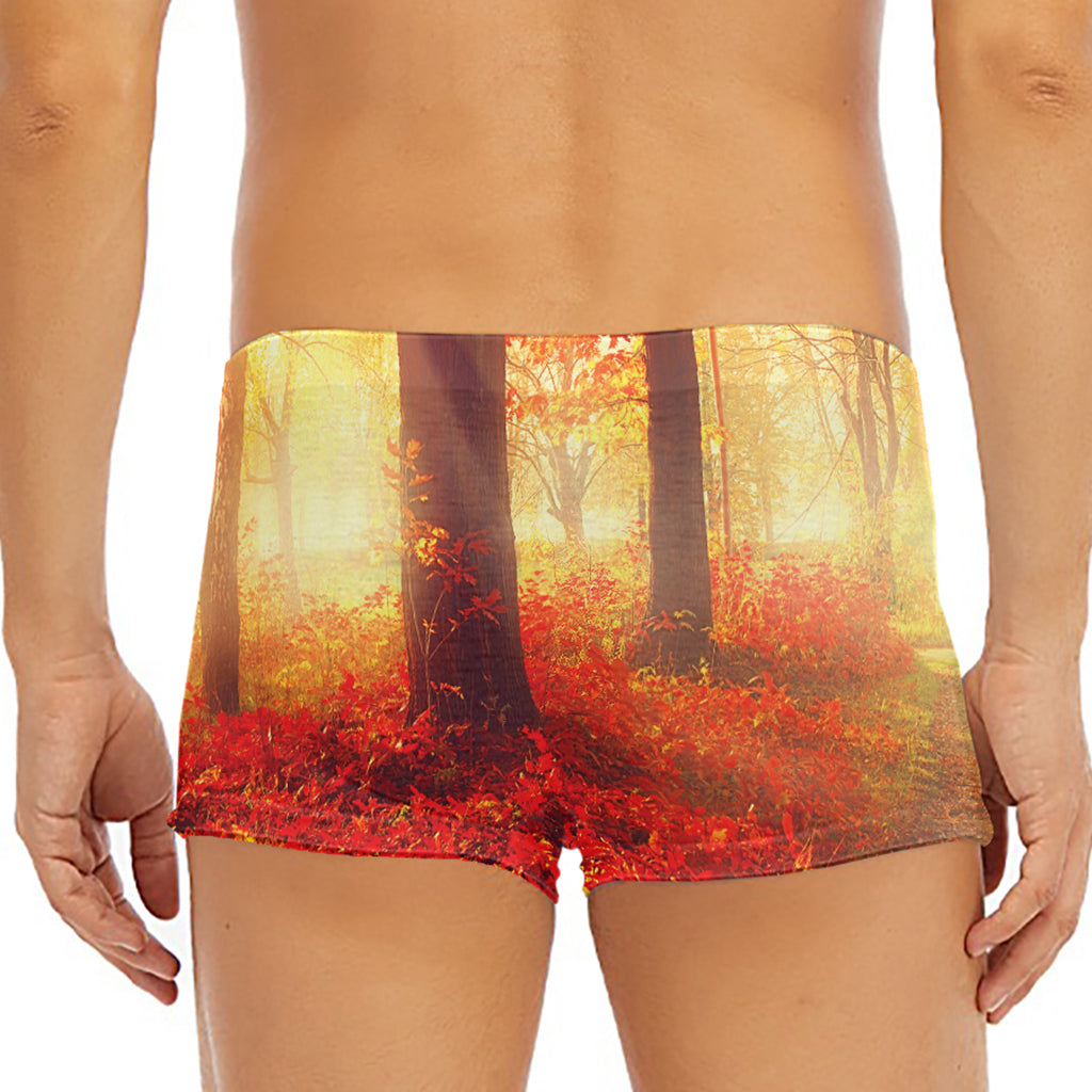 Sunshine Autumn Tree Print Men's Short Boxer Briefs