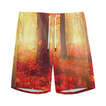 Sunshine Autumn Tree Print Men's Sports Shorts