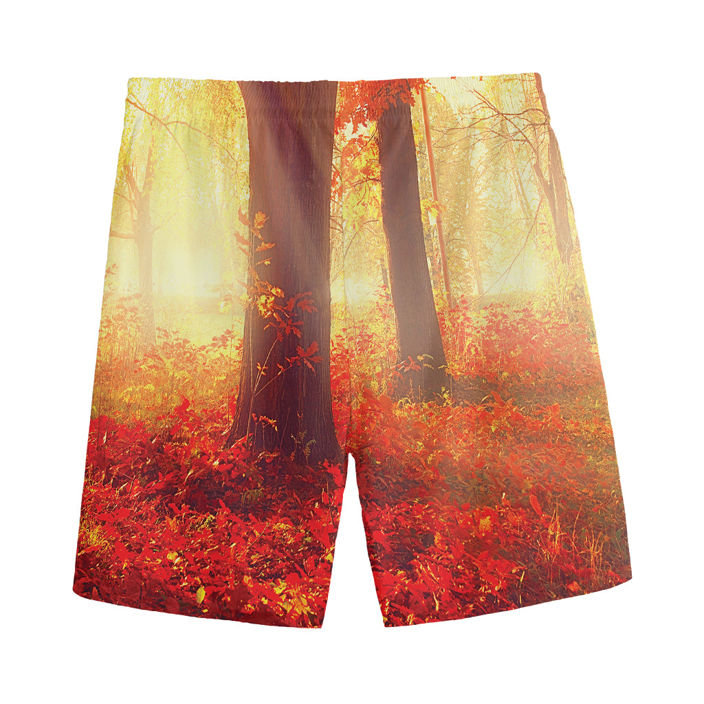 Sunshine Autumn Tree Print Men's Sports Shorts