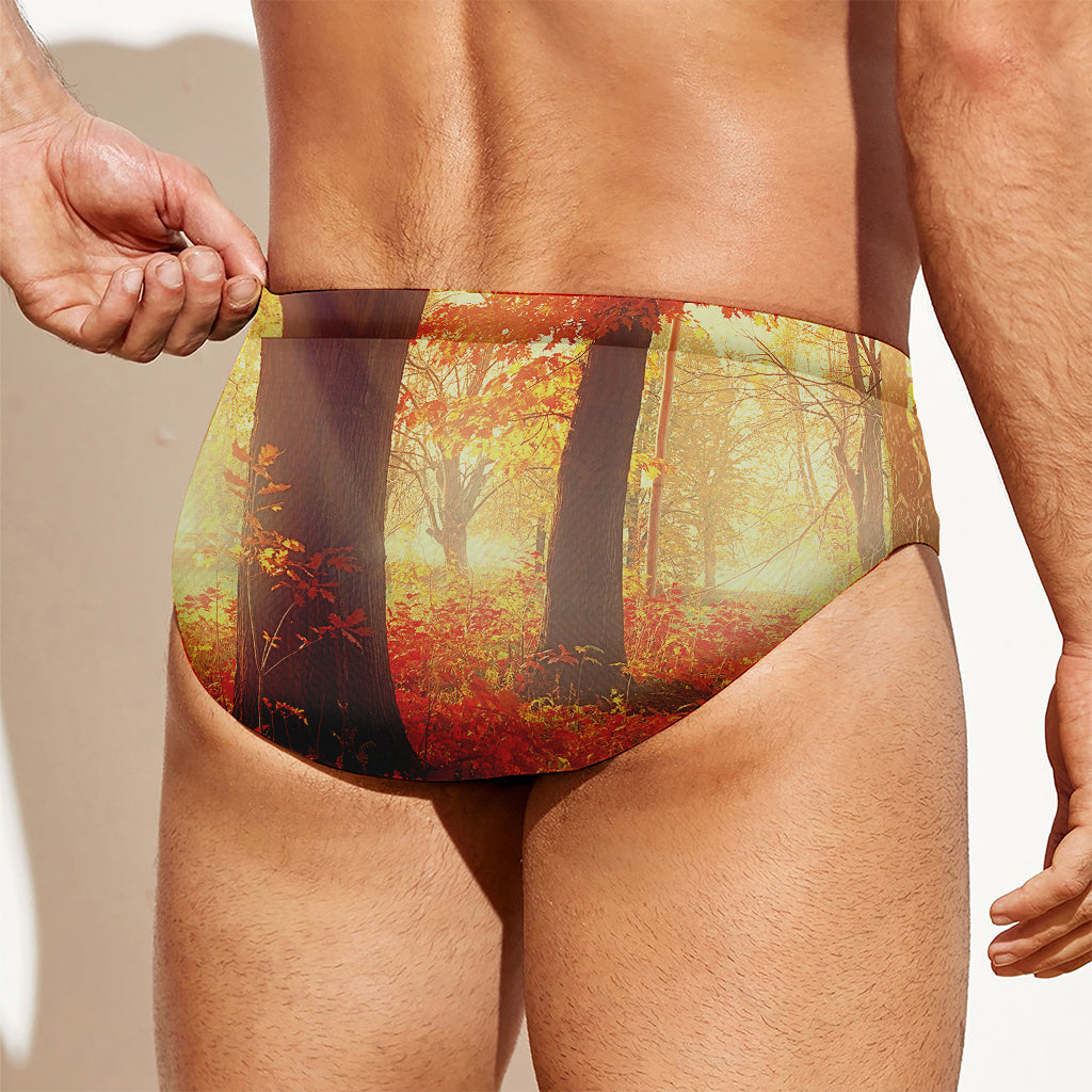 Sunshine Autumn Tree Print Men's Swim Briefs