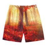 Sunshine Autumn Tree Print Men's Swim Trunks