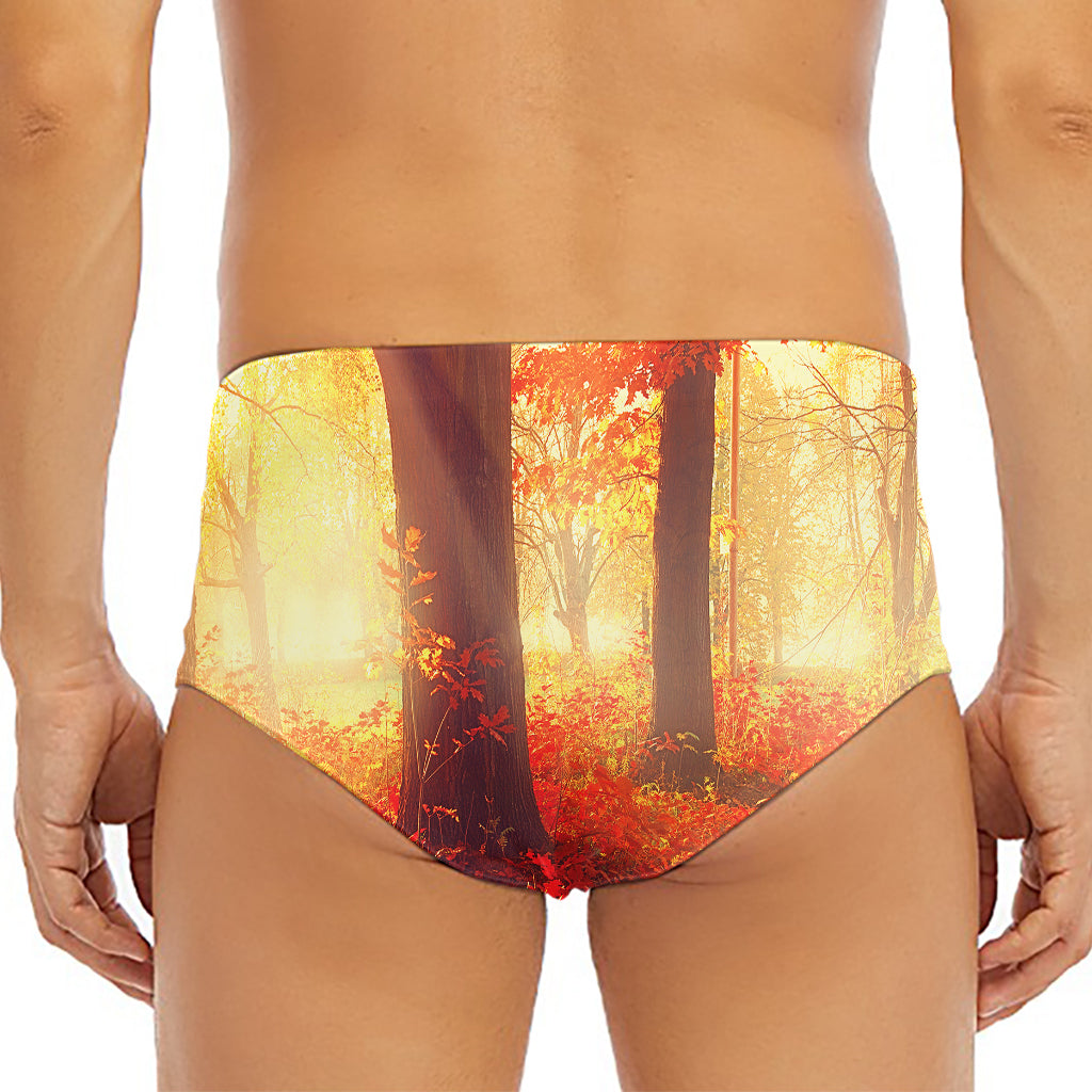 Sunshine Autumn Tree Print Men's Triangle Swim Briefs