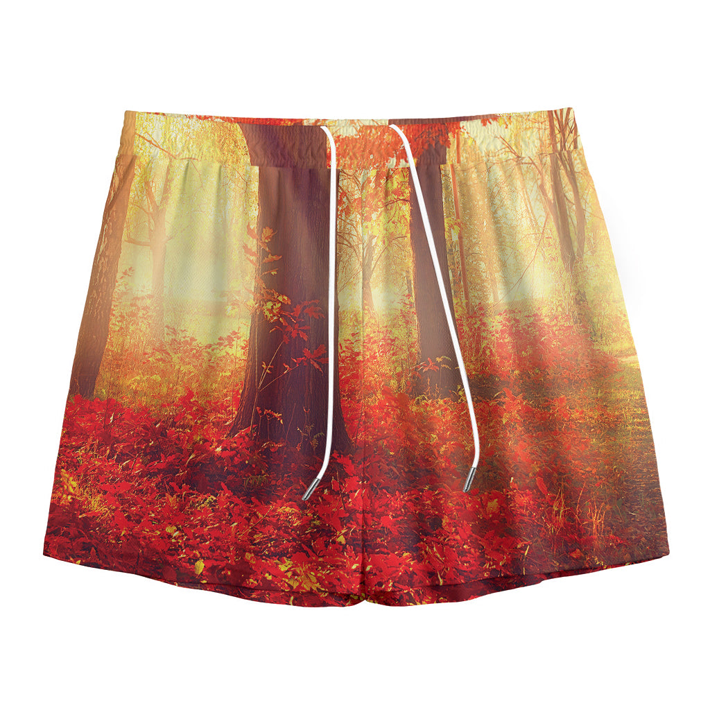 Sunshine Autumn Tree Print Mesh Shorts